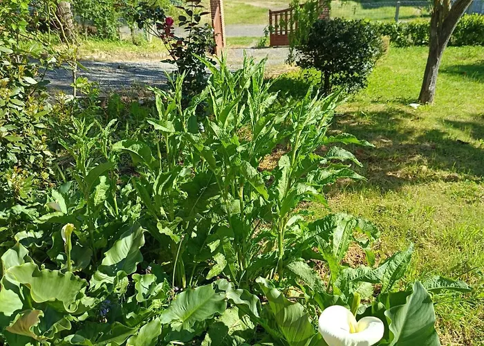 Ainapat Bed & Breakfast