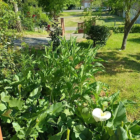 Ainapat Bed & Breakfast